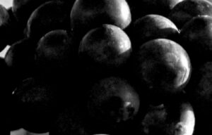 Monogramme : agence freelance design packaging luxe vin spiritueux champagne