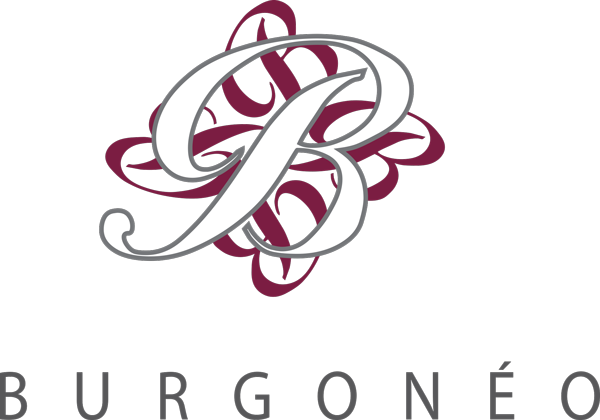 logo-burgoneo