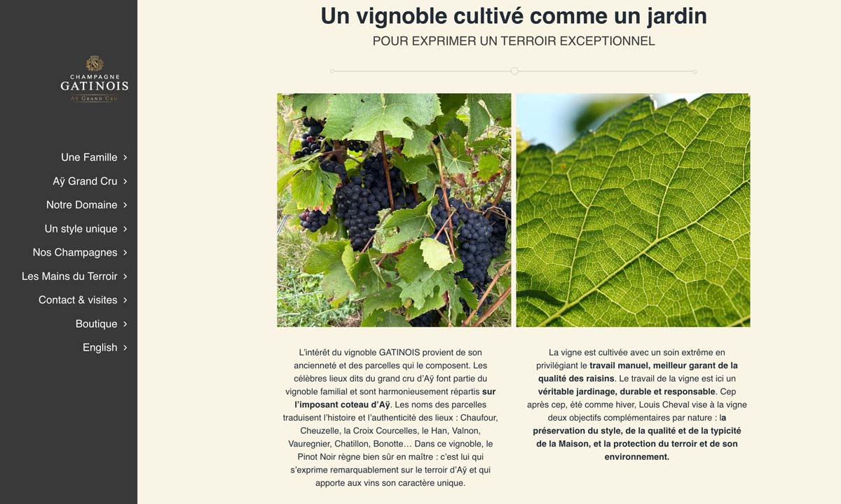 Création site internet Champagne