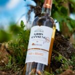 agence creation packaging vin nature Rigal