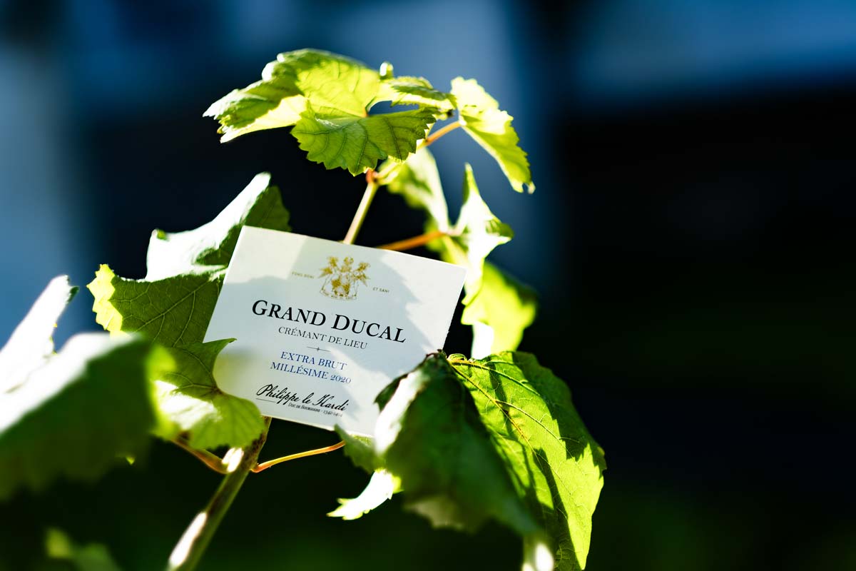photo-cremant-bourgogne-design-etiquette-agence-monogramme